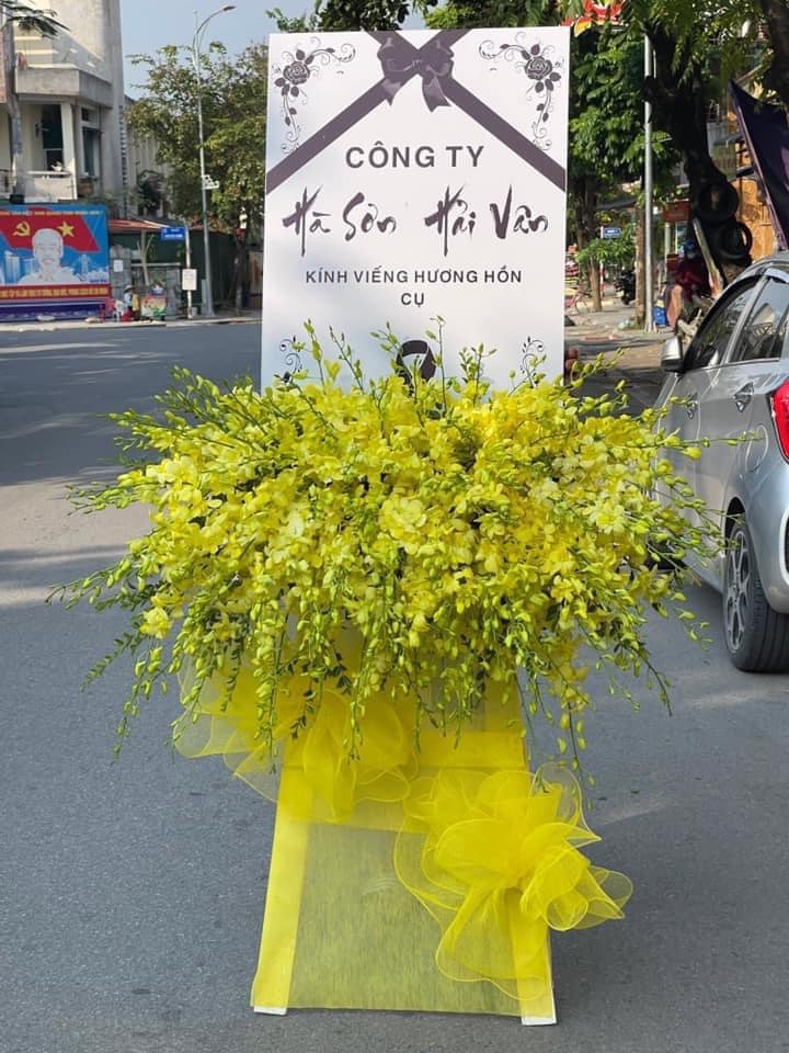  Chọn hoa không còn lo lắng