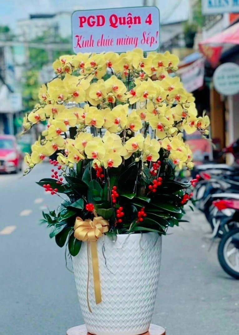 Dịch Vụ Giao Hàng Nhanh Chóng và An Toàn