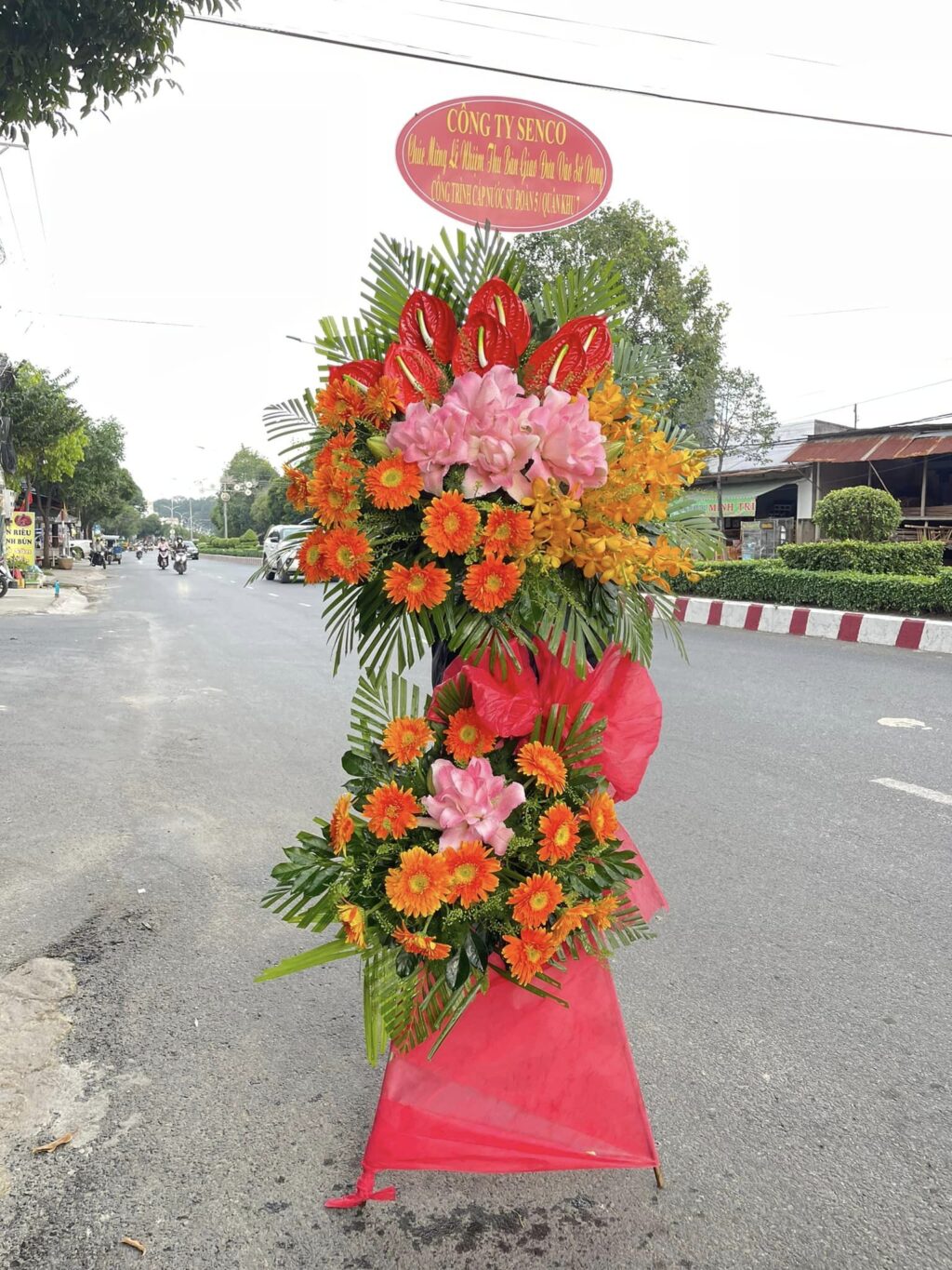  Giao Hàng Nhanh Chóng, Đảm Bảo An Toàn