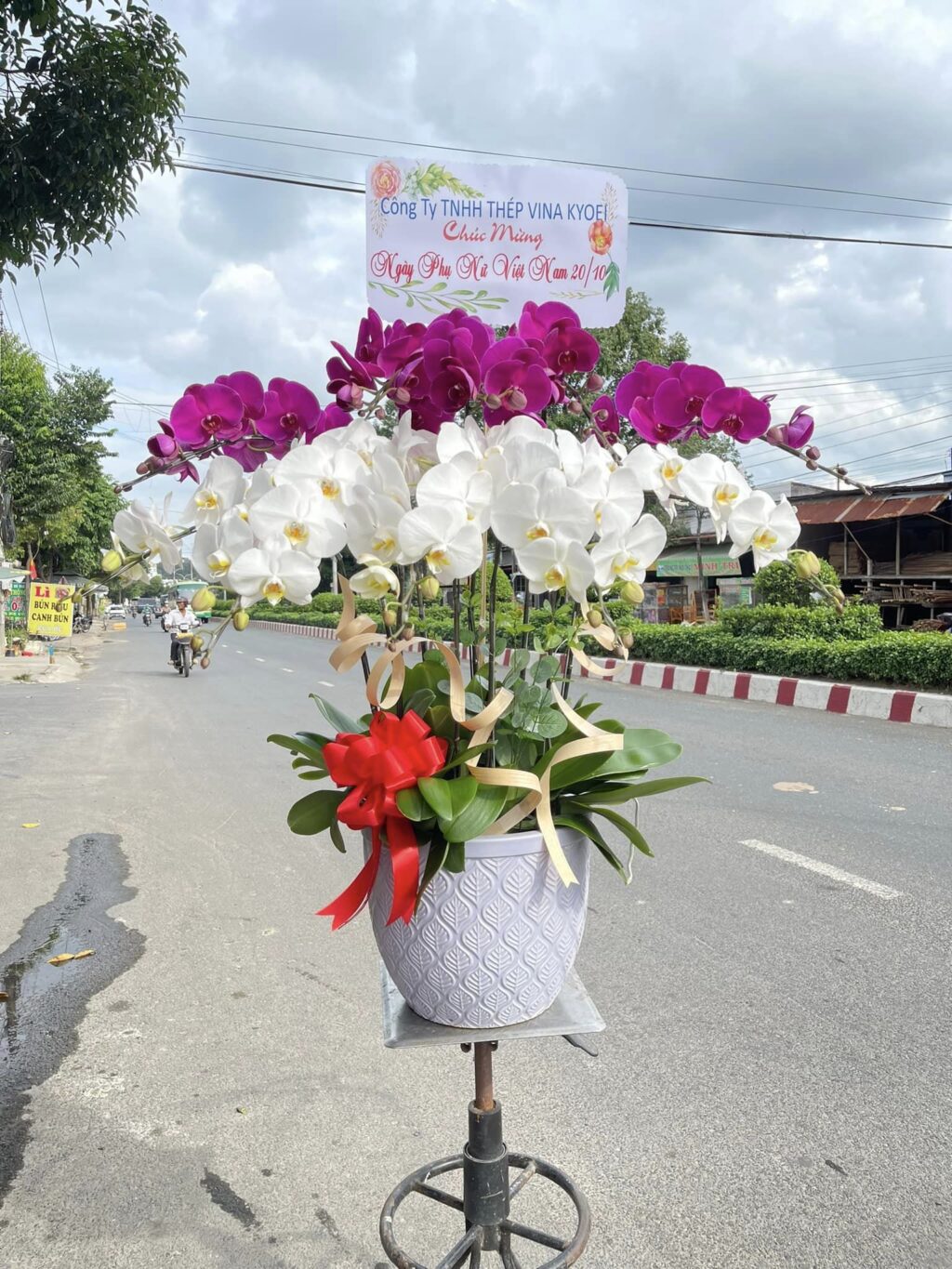 Khám Phá Vẻ Đẹp Tinh Tế và Sang Trọng