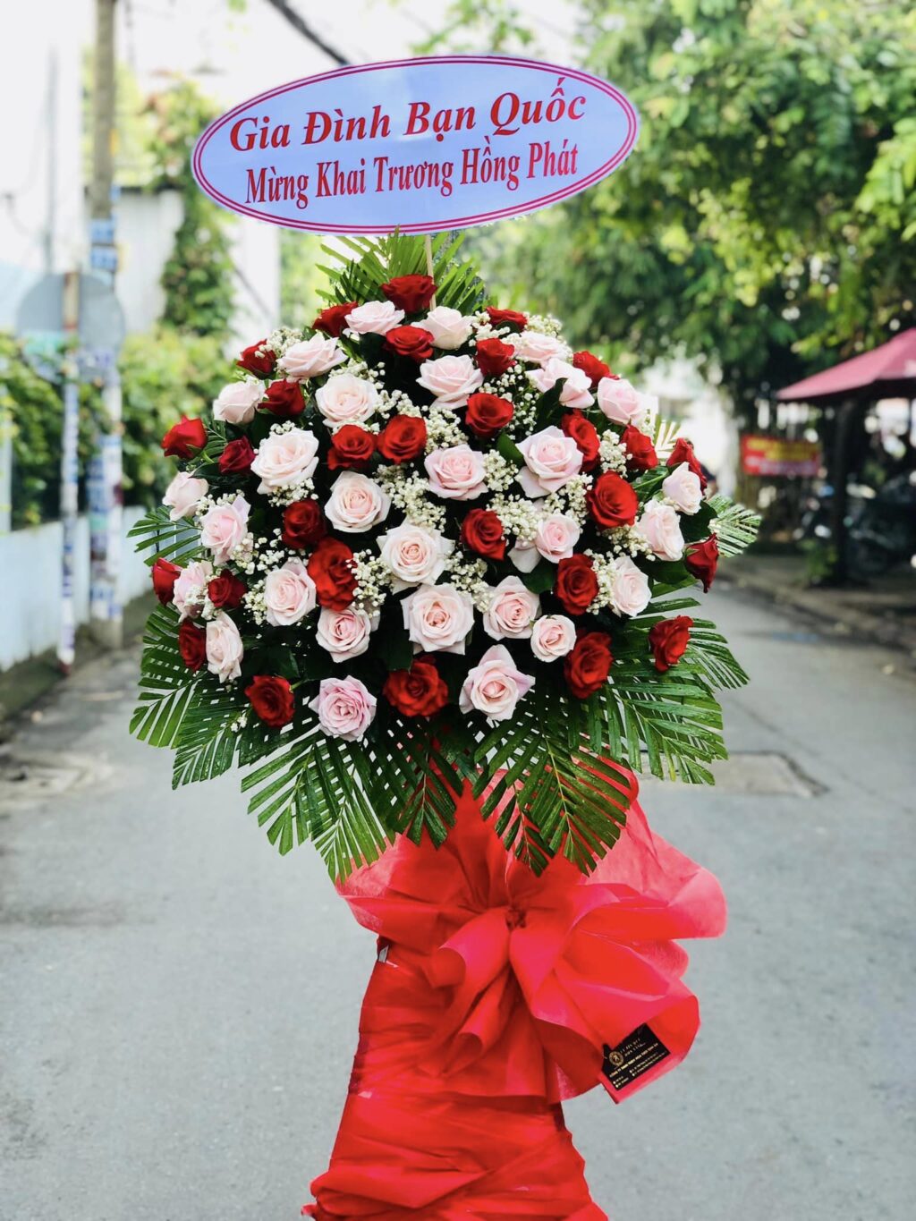 Đẹp Mắt và Sang Trọng 