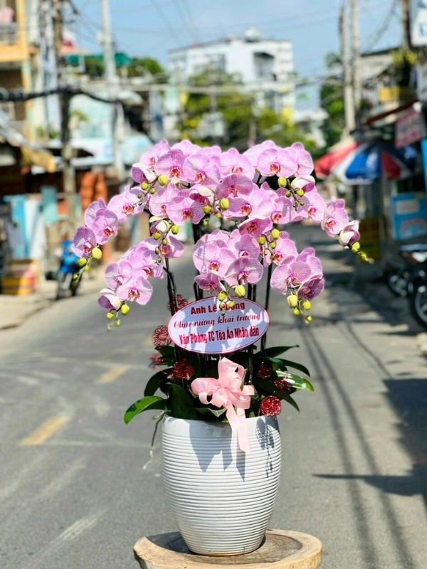 Dịch Vụ Chăm Sóc Khách Hàng Tận Tâm